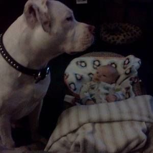 Meet your Posher, Joshua